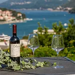 Sea Shell Apartman Dubrovnik