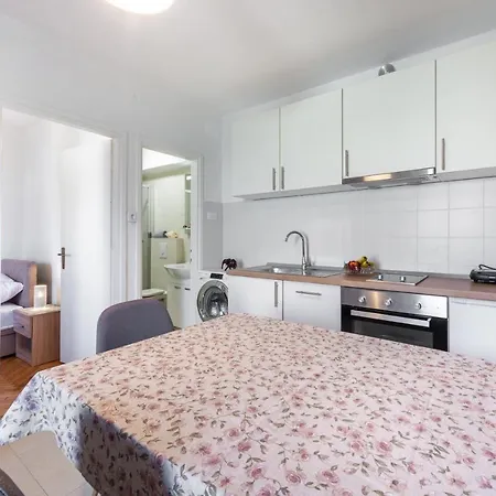 Sea Shell Ragusa